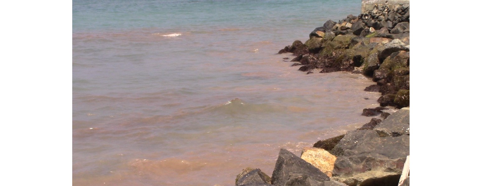 හික්කඩුව වෙරළේ පවතින තෙල් තට්ටු ලිහිසි තෙල්